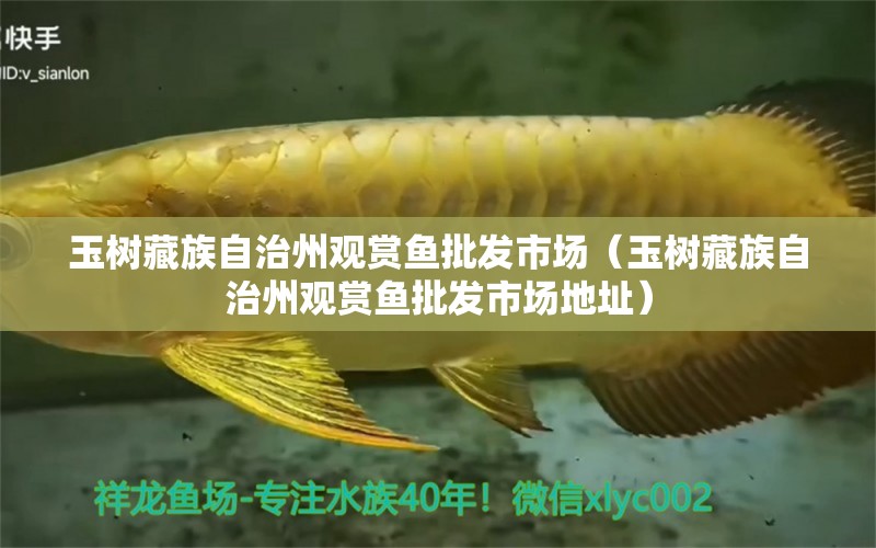 玉樹藏族自治州觀賞魚批發(fā)市場（玉樹藏族自治州觀賞魚批發(fā)市場地址）