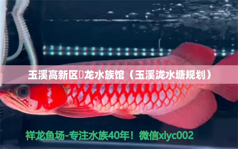 玉溪高新區(qū)魟龍水族館（玉溪瀧水塘規(guī)劃）