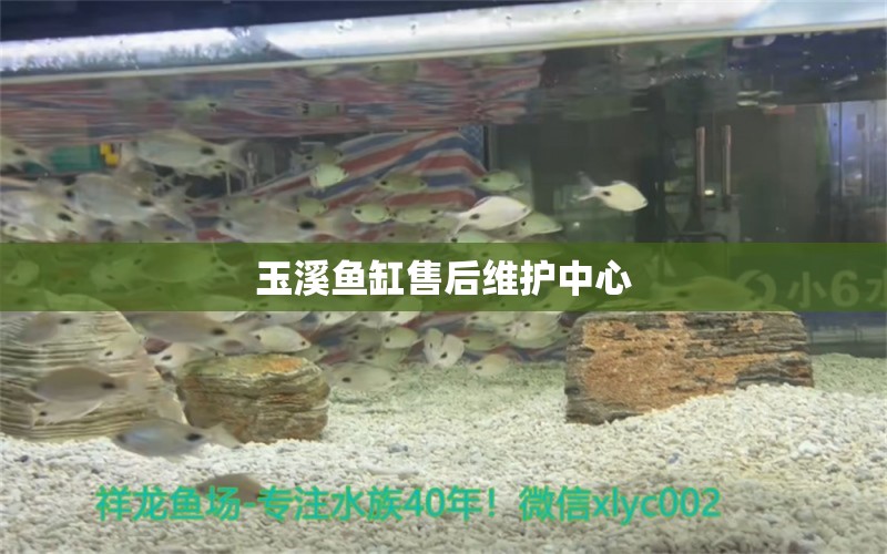 玉溪魚缸售后維護(hù)中心