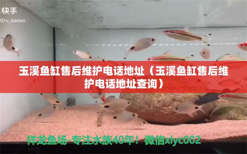 玉溪魚缸售后維護電話地址（玉溪魚缸售后維護電話地址查詢） 其他品牌魚缸