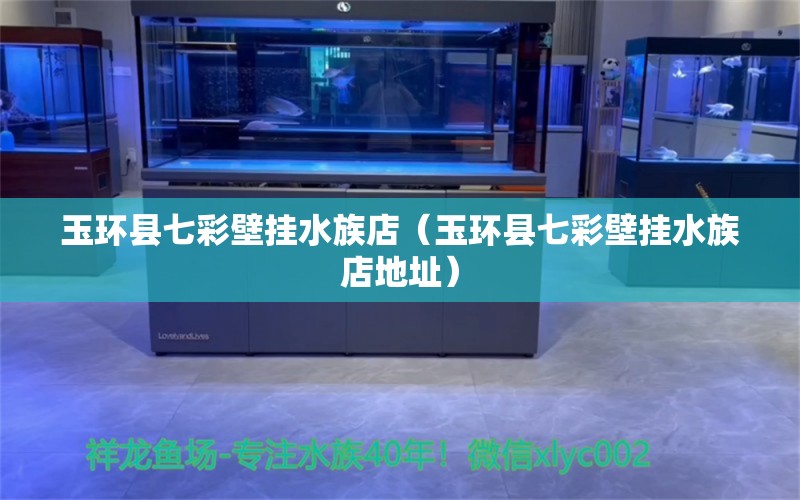 玉環(huán)縣七彩壁掛水族店（玉環(huán)縣七彩壁掛水族店地址） 全國水族館企業(yè)名錄