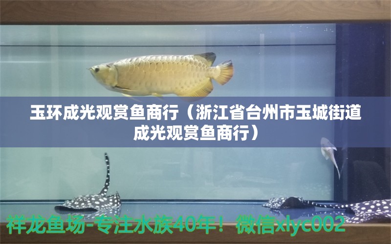 玉環(huán)成光觀賞魚商行（浙江省臺(tái)州市玉城街道成光觀賞魚商行） 全國觀賞魚市場 第1張