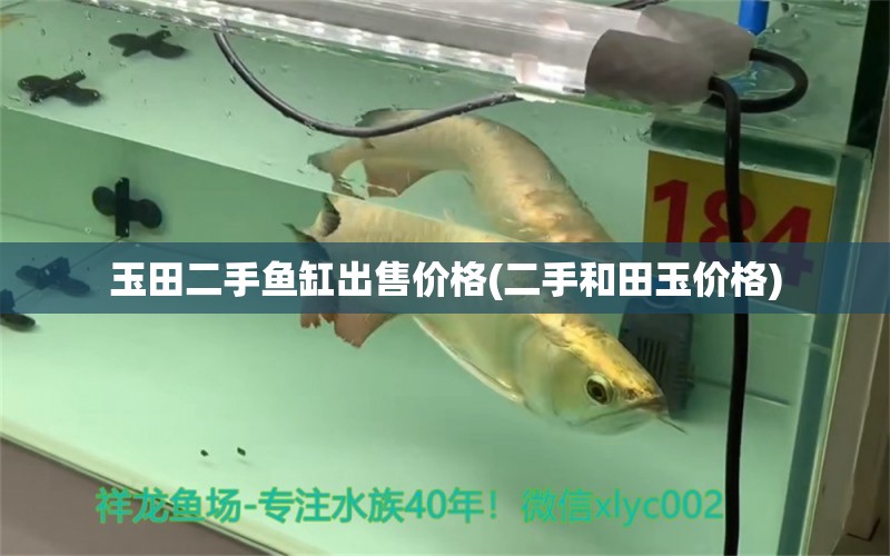 玉田二手魚缸出售價(jià)格(二手和田玉價(jià)格) 白寫錦鯉魚