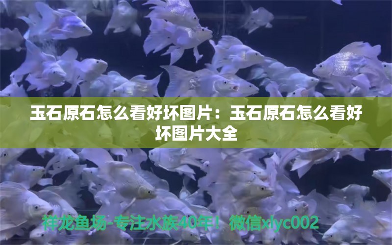 玉石原石怎么看好壞圖片：玉石原石怎么看好壞圖片大全