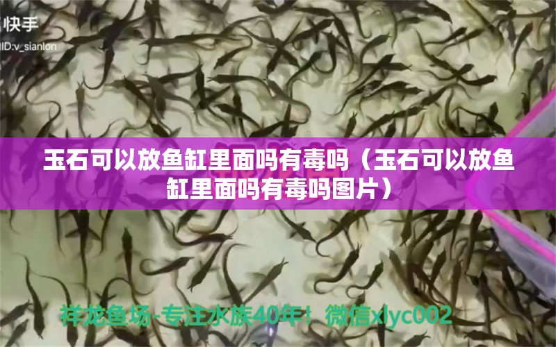 玉石可以放魚缸里面嗎有毒嗎（玉石可以放魚缸里面嗎有毒嗎圖片）