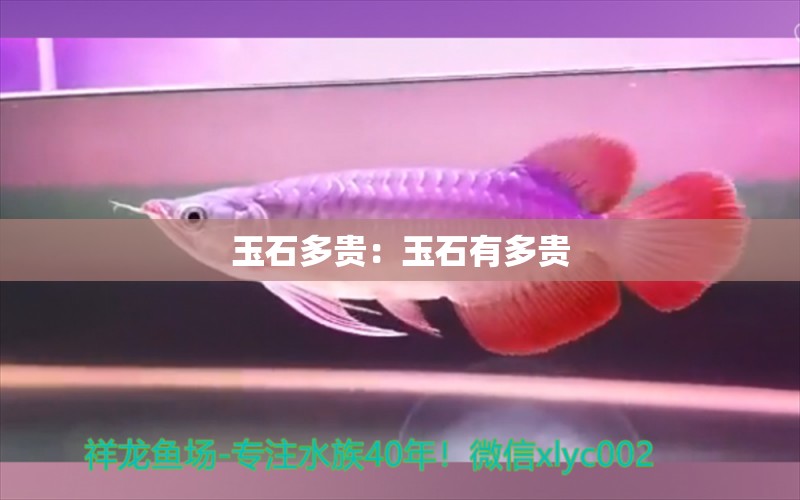 玉石多貴：玉石有多貴 文玩