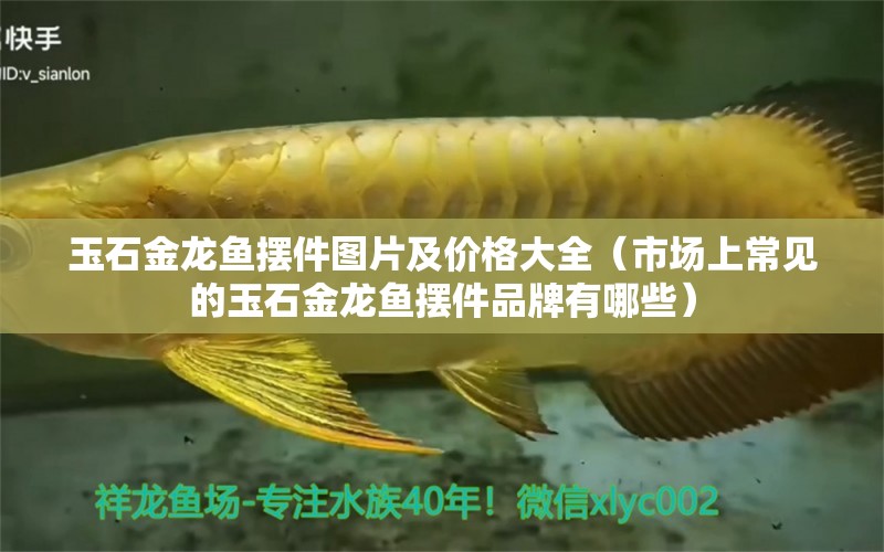 玉石金龍魚擺件圖片及價(jià)格大全（市場上常見的玉石金龍魚擺件品牌有哪些） 水族問答 第1張