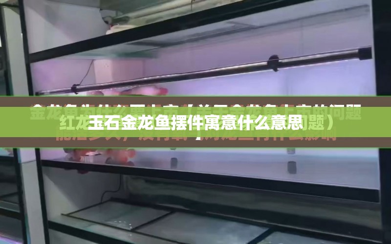 玉石金龍魚擺件寓意什么意思 水族問答 第1張