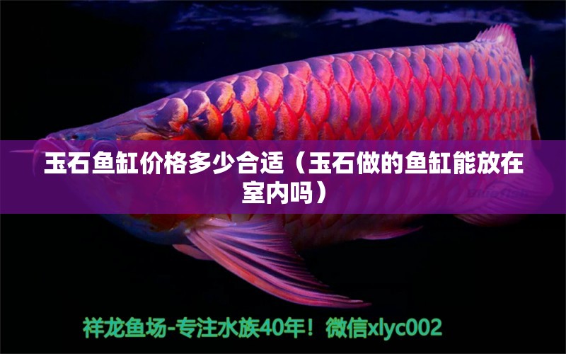 玉石魚缸價(jià)格多少合適（玉石做的魚缸能放在室內(nèi)嗎） 魚缸清潔用具