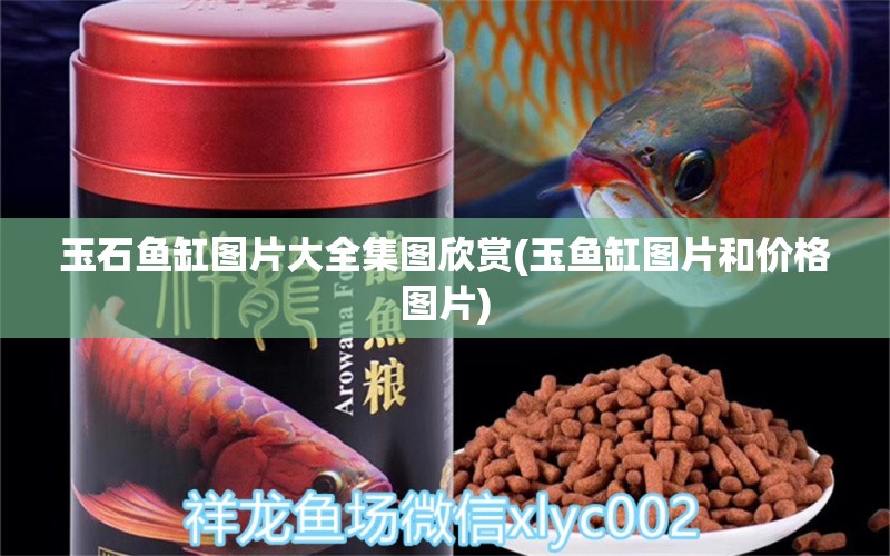 玉石魚缸圖片大全集圖欣賞(玉魚缸圖片和價格圖片) 充氧泵 第1張