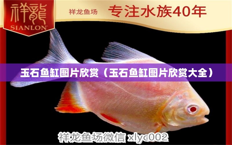 玉石魚缸圖片欣賞（玉石魚缸圖片欣賞大全） 量子養(yǎng)魚技術(shù)