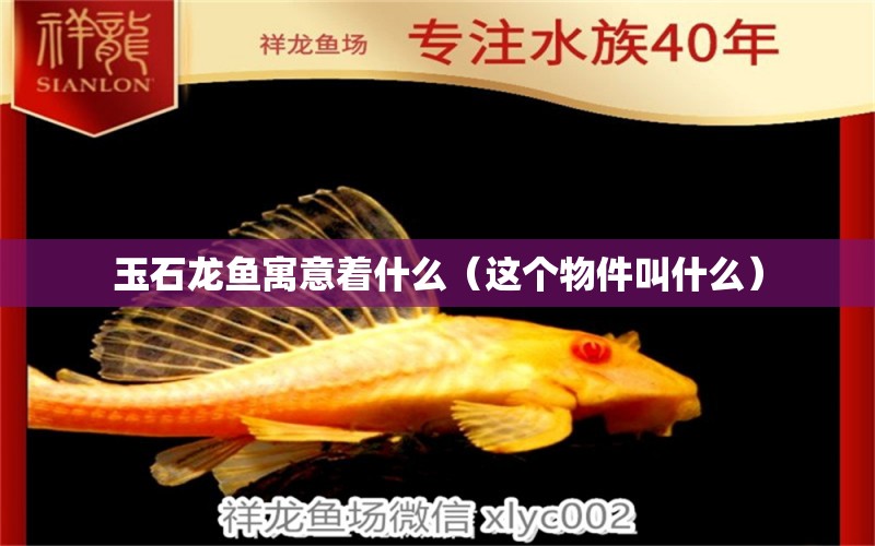 玉石龍魚寓意著什么（這個(gè)物件叫什么） 彩鰈魚缸（彩蝶魚缸） 第1張