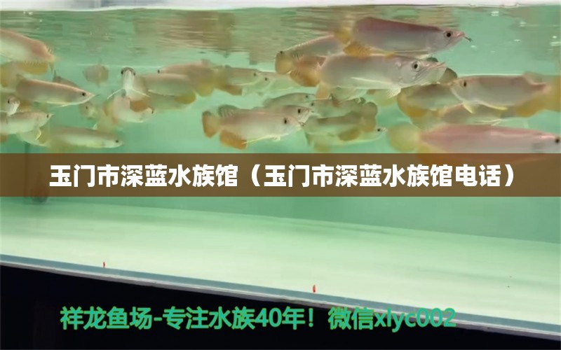 玉門市深藍(lán)水族館（玉門市深藍(lán)水族館電話） 全國水族館企業(yè)名錄