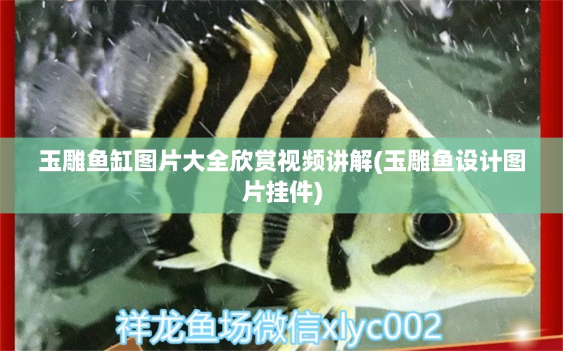 玉雕魚缸圖片大全欣賞視頻講解(玉雕魚設(shè)計(jì)圖片掛件) 招財(cái)戰(zhàn)船魚 第1張