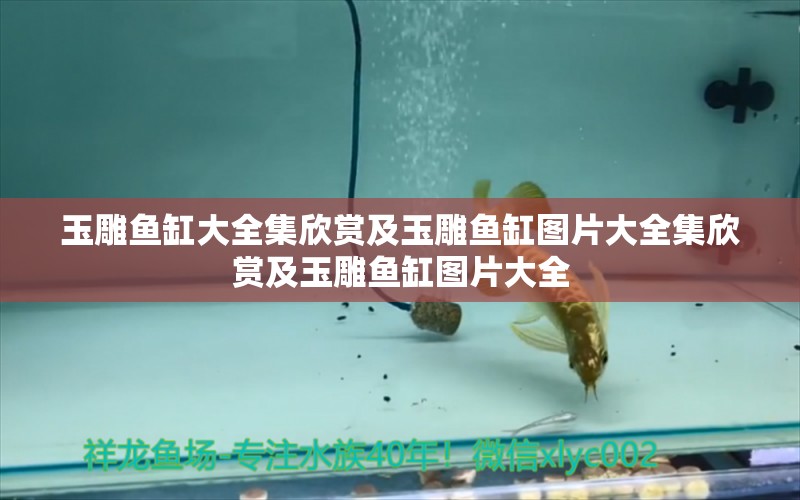 玉雕魚缸大全集欣賞及玉雕魚缸圖片大全集欣賞及玉雕魚缸圖片大全