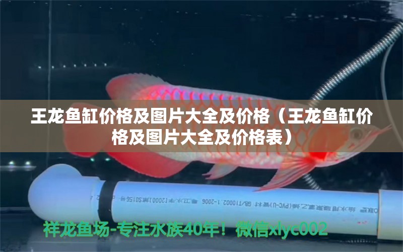 王龍魚缸價格及圖片大全及價格（王龍魚缸價格及圖片大全及價格表） 廣州龍魚批發(fā)市場