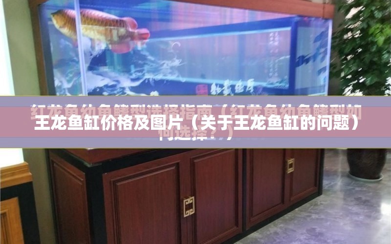 王龍魚缸價格及圖片（關于王龍魚缸的問題） 水族問答 第1張