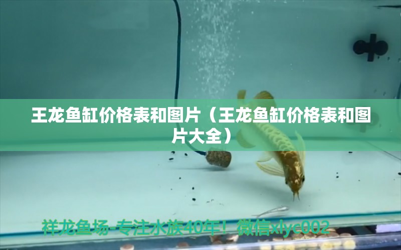 王龍魚(yú)缸價(jià)格表和圖片（王龍魚(yú)缸價(jià)格表和圖片大全）