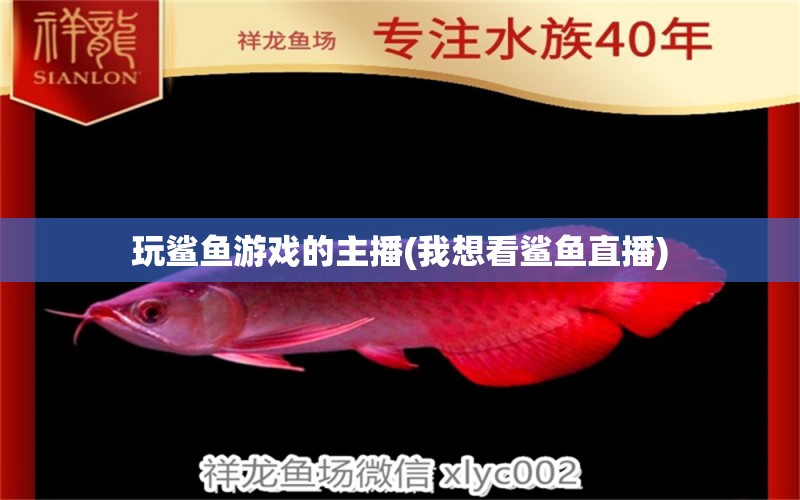 玩鯊魚游戲的主播(我想看鯊魚直播) 祥禾Super Red紅龍魚