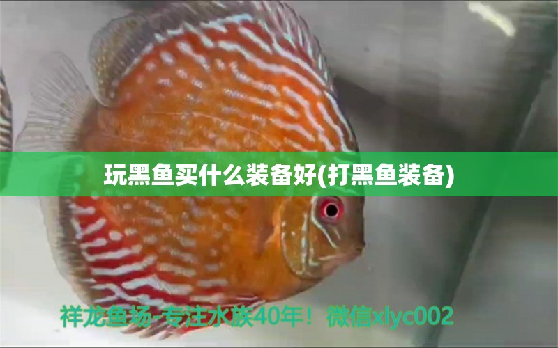 玩黑魚買什么裝備好(打黑魚裝備) 白化巴西龜（白巴）