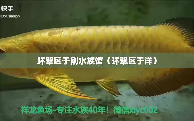 環(huán)翠區(qū)于剛水族館（環(huán)翠區(qū)于洋）