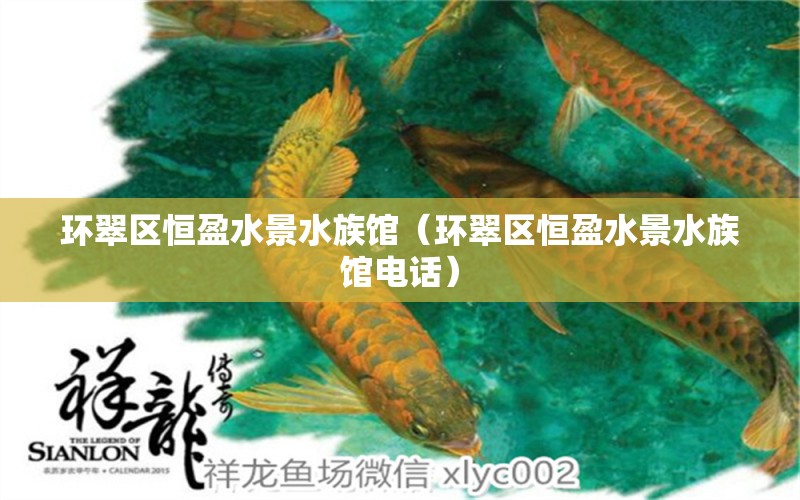 環(huán)翠區(qū)恒盈水景水族館（環(huán)翠區(qū)恒盈水景水族館電話）