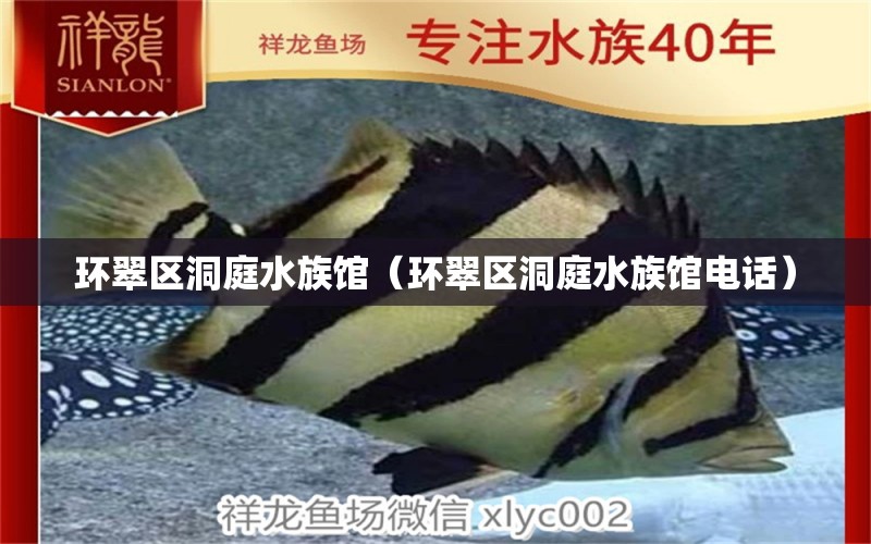 環(huán)翠區(qū)洞庭水族館（環(huán)翠區(qū)洞庭水族館電話）