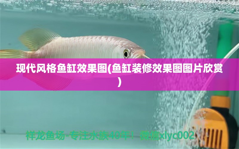 現(xiàn)代風格魚缸效果圖(魚缸裝修效果圖圖片欣賞) 噴點菠蘿魚 第1張