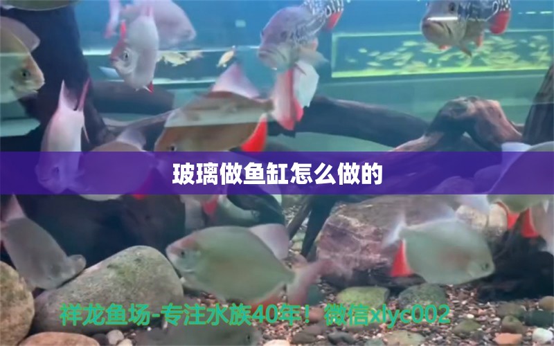 玻璃做魚(yú)缸怎么做的