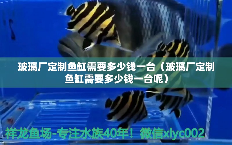 玻璃廠定制魚缸需要多少錢一臺(tái)（玻璃廠定制魚缸需要多少錢一臺(tái)呢）