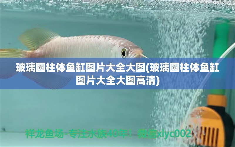 玻璃圓柱體魚缸圖片大全大圖(玻璃圓柱體魚缸圖片大全大圖高清) 帝王血鉆