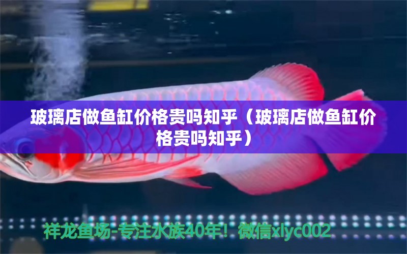 玻璃店做魚缸價(jià)格貴嗎知乎（玻璃店做魚缸價(jià)格貴嗎知乎）