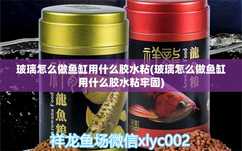 玻璃怎么做魚缸用什么膠水粘(玻璃怎么做魚缸用什么膠水粘牢固) 觀賞魚進(jìn)出口