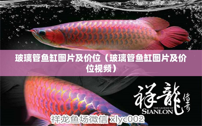 玻璃管魚(yú)缸圖片及價(jià)位（玻璃管魚(yú)缸圖片及價(jià)位視頻）