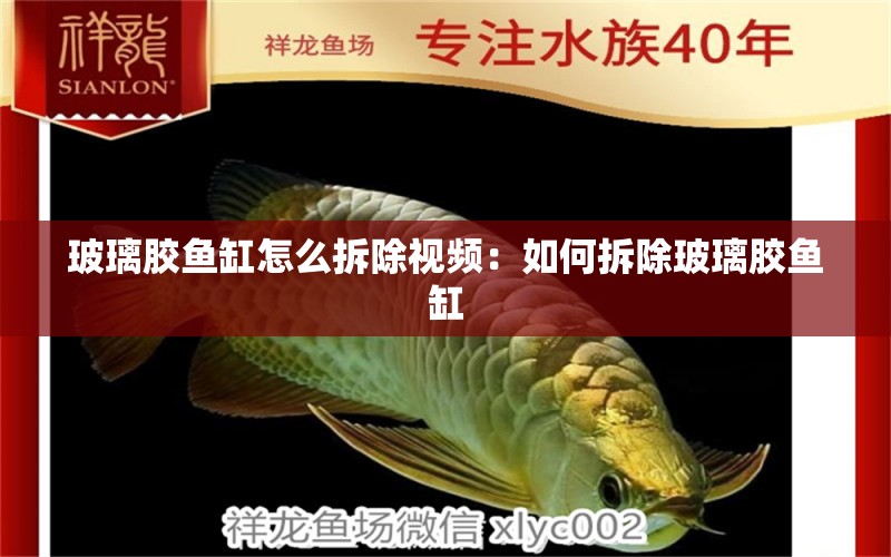 玻璃膠魚缸怎么拆除視頻：如何拆除玻璃膠魚缸