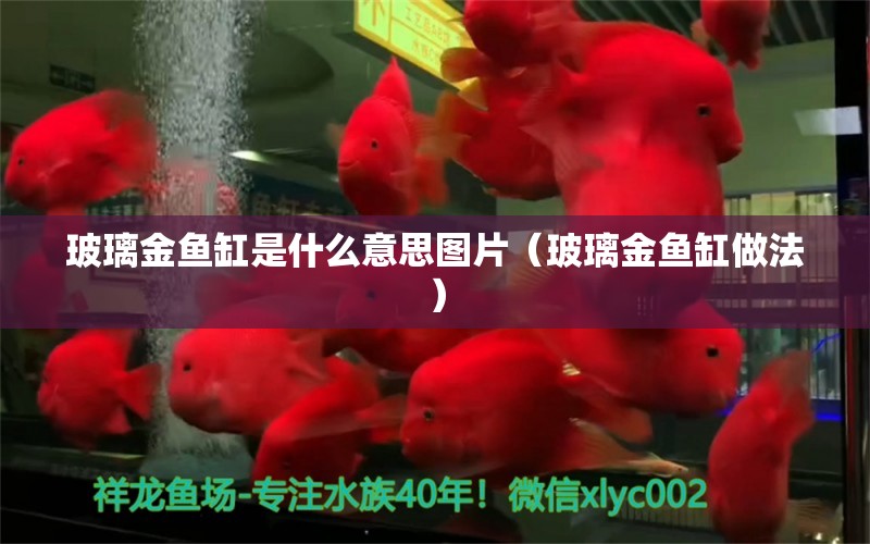 玻璃金魚缸是什么意思圖片（玻璃金魚缸做法） 可麗愛魚缸