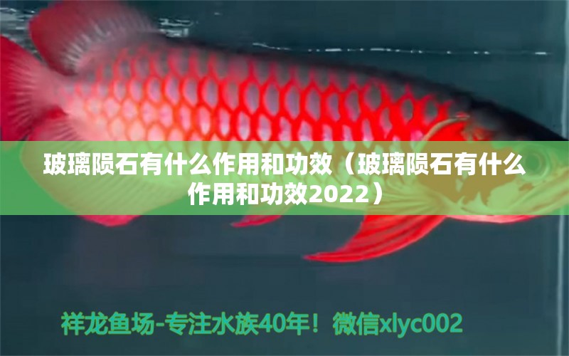 玻璃隕石有什么作用和功效（玻璃隕石有什么作用和功效2022）