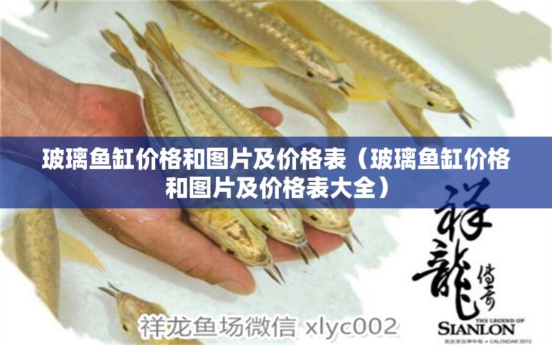 玻璃魚(yú)缸價(jià)格和圖片及價(jià)格表（玻璃魚(yú)缸價(jià)格和圖片及價(jià)格表大全） 斑馬鴨嘴魚(yú)