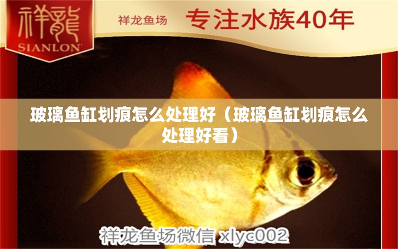 玻璃魚缸劃痕怎么處理好（玻璃魚缸劃痕怎么處理好看）