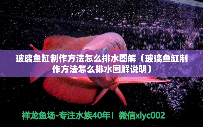 玻璃魚缸制作方法怎么排水圖解（玻璃魚缸制作方法怎么排水圖解說明） 廣州觀賞魚批發(fā)市場