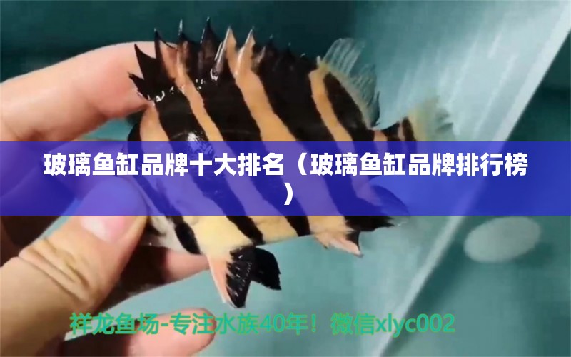 玻璃魚缸品牌十大排名（玻璃魚缸品牌排行榜）