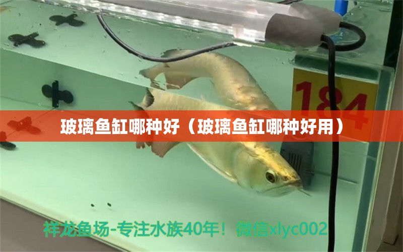 玻璃魚缸哪種好（玻璃魚缸哪種好用） 祥龍水族醫(yī)院