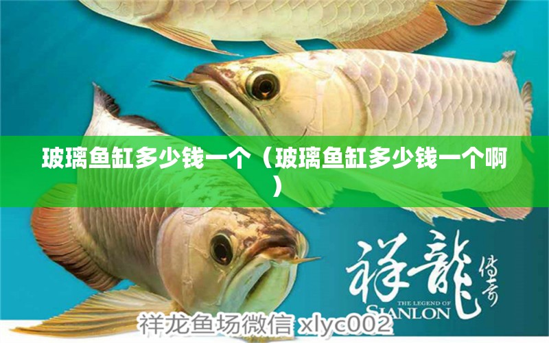 玻璃魚缸多少錢一個（玻璃魚缸多少錢一個?。?魚缸百科