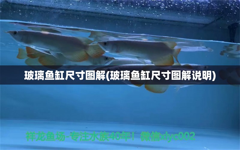 玻璃魚缸尺寸圖解(玻璃魚缸尺寸圖解說明) 養(yǎng)魚知識