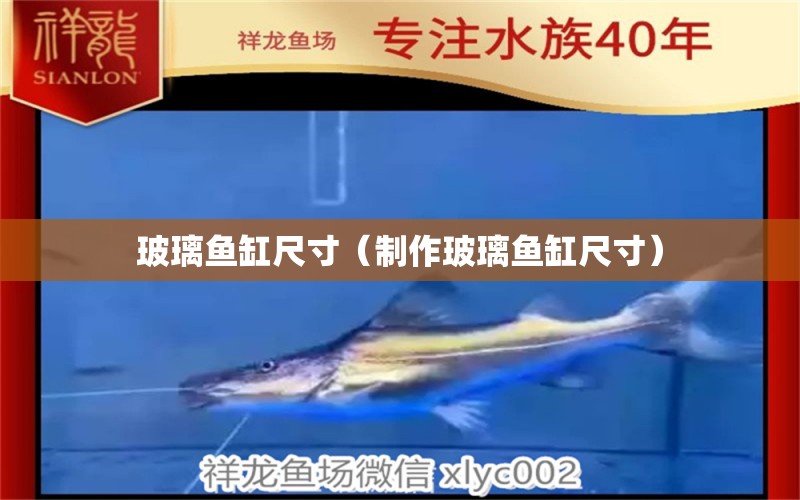 玻璃魚(yú)缸尺寸（制作玻璃魚(yú)缸尺寸） 其他品牌魚(yú)缸