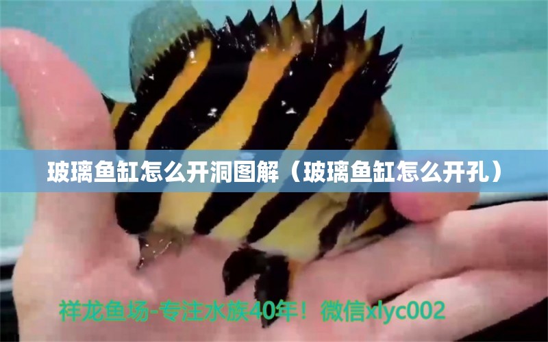 玻璃魚缸怎么開洞圖解（玻璃魚缸怎么開孔） 黃金達(dá)摩魚