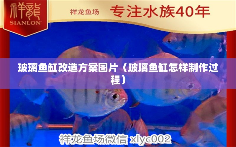 玻璃魚缸改造方案圖片（玻璃魚缸怎樣制作過程） 帝王迷宮魚