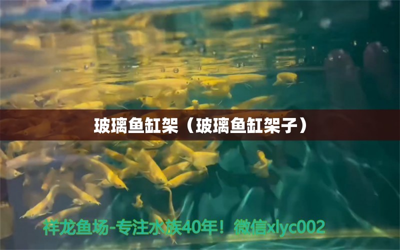 玻璃魚缸架（玻璃魚缸架子）