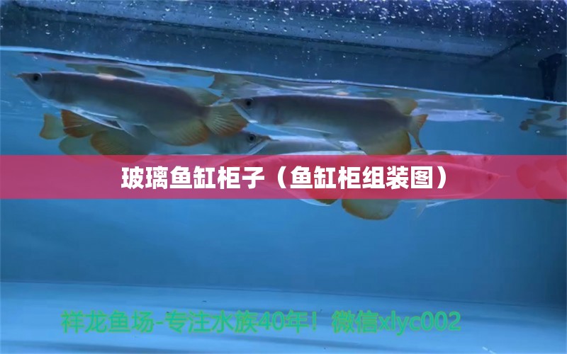 玻璃魚缸柜子（魚缸柜組裝圖）