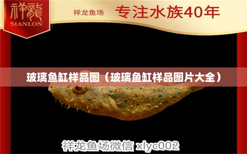 玻璃魚缸樣品圖（玻璃魚缸樣品圖片大全）